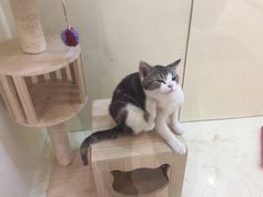 -凯德广场(西城店)
