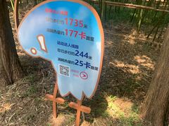 -同里国家湿地公园