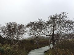 -凤凰山国家森林公园
