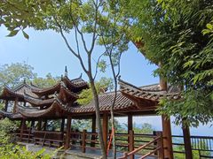 -蝶舞清江·恩施云顶景区(黄鹤峰林)