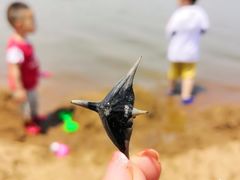 -东钱湖阳光沙滩