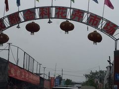 android_upload_pic-金科花卉市场