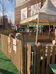 -萌宠亲子动物乐园(槐房万达店)