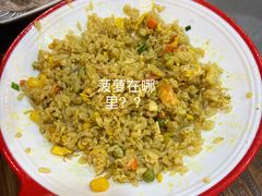 -靓蛙馆
