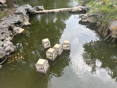-常熟方塔园