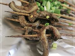-晓靖轩烧烤(沙河风情店)