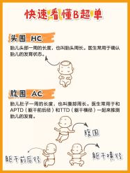 -大美母婴月子中心(希尔顿店)