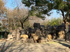 -上海野生动物园