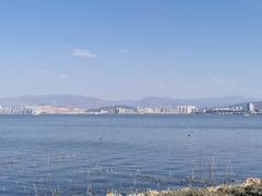 -洱海月湿地公园