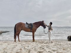 -玫瑰海岸文化旅游度假区