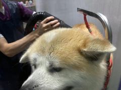 -宠颐生动物医院·小陆分院