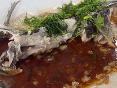 -八仔大富楼·河鲜(西江店)