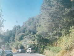 -杨家堂村