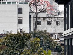 -荔湾湖公园