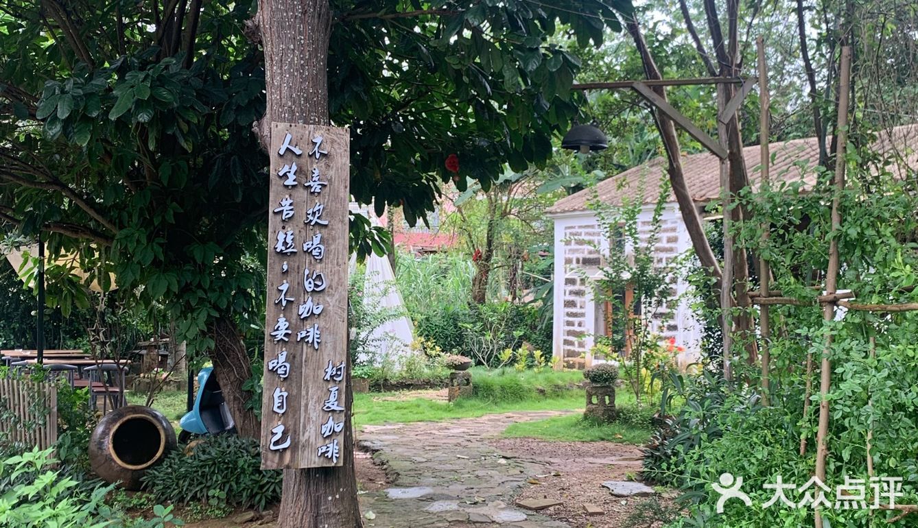 涠洲岛探店之树夏咖啡☕️