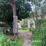 涠洲岛探店之树夏咖啡☕️