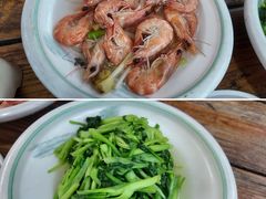 -小小饭店·休闲农庄·安吉松树林里的农家菜