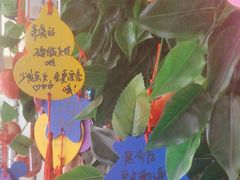 -派尔曼特披萨(万象城店)