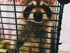 -平行世界·猫咖(首经贸店)