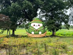-阳澄湖半岛旅游度假区