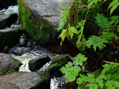 -汤旺河林海奇石景区
