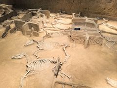 -洛阳周王城天子驾六博物馆