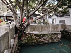 -墨池公园