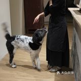 兮Fan，兮食，坪山兮格林！