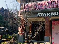-星巴克臻选(思南公馆店)