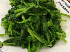 清炒豌豆尖-力力豆花庄(广渠门店)