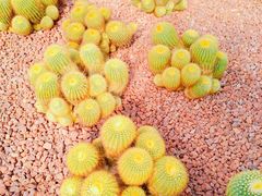 -南通洲际绿博园