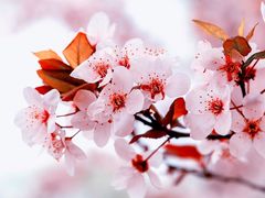 -李老爹香辣蟹(宣武门店)