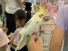 -南宁国际会展中心