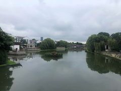 -四季春