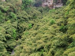 -川西竹海景区