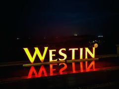 -舟山朱家尖绿城威斯汀度假酒店
