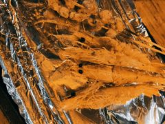 -路边摊小炉子烧烤