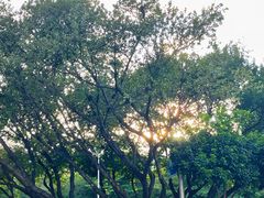 -南山图书馆(常兴路店)