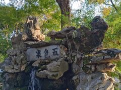 -上海醉白池公园