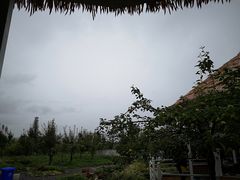 -云端彼岸马场