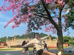 -东莞植物园