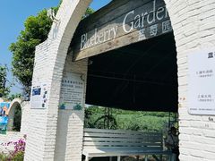 -金谷域澳洲庄园