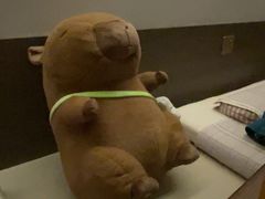 -大赏足道(全运店)