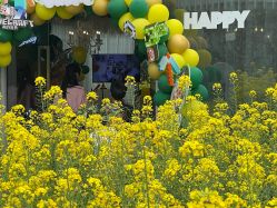 点击看大图 -头号顽家·萌宠生日派对·轻奢策划(前滩店)