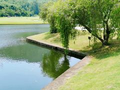 -南沙高尔夫球会