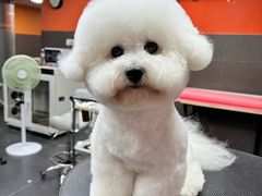 -宠宠熊宠物美容(星湖街店)