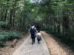 -紫金山山顶公园