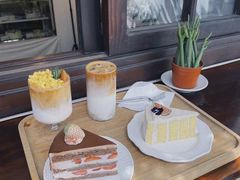 草莓提拉米苏-dokidoki