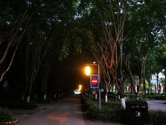 停车场-呀诺达热带雨林