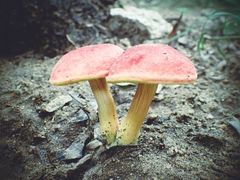 -碓臼峪自然风景区